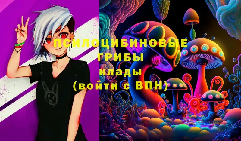 Псилоцибиновые грибы MAGIC MUSHROOMS  shop как зайти  Ногинск 